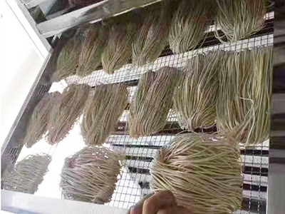 Pasta Drying Machine Machine à sécher les pâtes