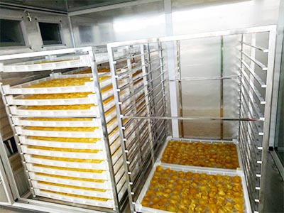 Sécheuses À Pompe À Chaleur Pour Le Séchage Médical, Les Herbes Et Autres Médicaments