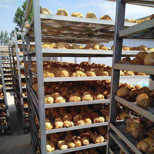 de425e429a87f1e07c6a5eeaace65a93