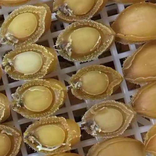 cad308ca4a52eb54a6fe0eb8c38baac6