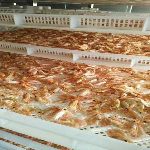 b117983f70a4e5b95d3ccf45d3546045