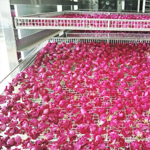 02165951c26f3237d84cc75ed4d2296c